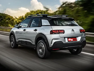 C4 Cactus